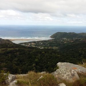 The setting of The Sardine Run each year with Offshore Africa in Port St Johns