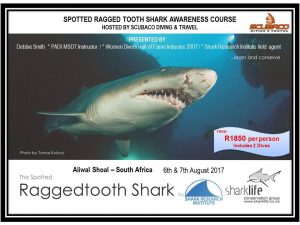 Spotted ragged tooth shark course