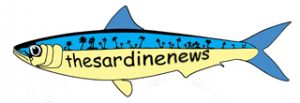 Sardine Run 2017