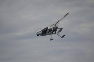 aerial support sardine run