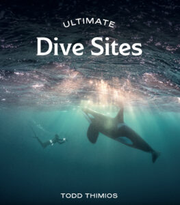 Ultimate Dive sites new book release 2025