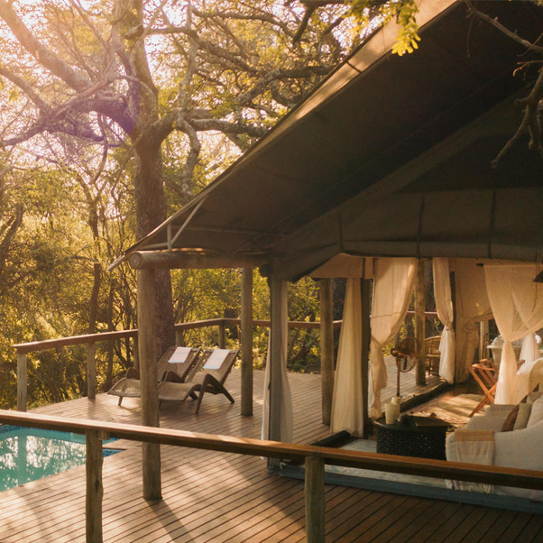 Cape Town & Rhino Sands Safari