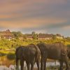 Magical Vic Falls & Hwange Safari