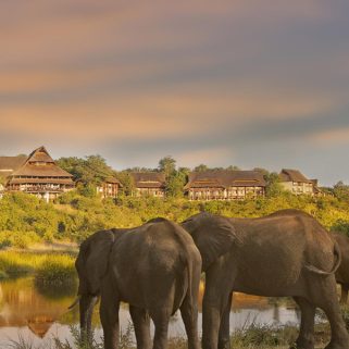Magical Vic Falls & Hwange Safari