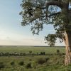 Magical Vic Falls & Chobe Safari