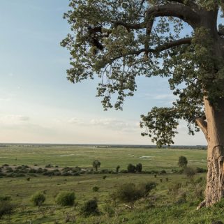 Magical Vic Falls & Chobe Safari