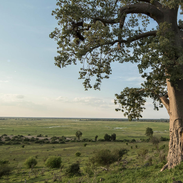 Magical Vic Falls & Chobe Safari