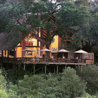 Big 5 Kruger Luxury Superior Safari