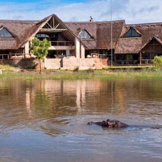 Big 5 Waterberg Safari